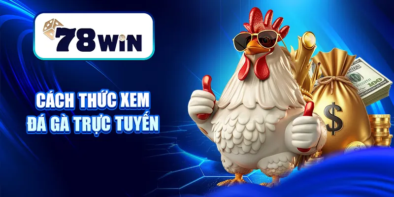 Xem Đá Gà Trực Tuyến Mới Nhất 2025 Tại Nhà Cái 78WIN 6 Cách thức xem đá gà trực tuyến